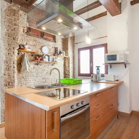 Luminous Attic Down Town 公寓